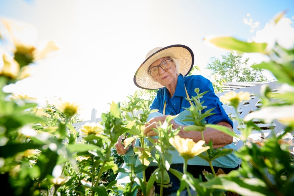 jardinería para personas mayores