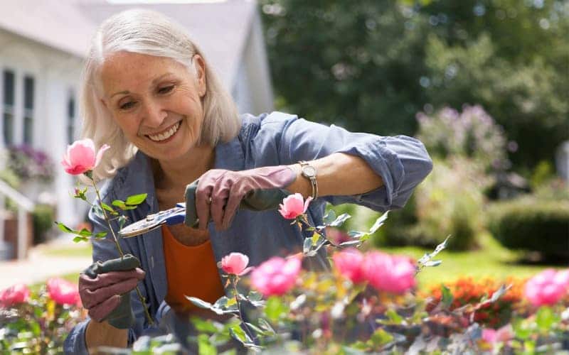 Trabajos para jubilados - jardineros
