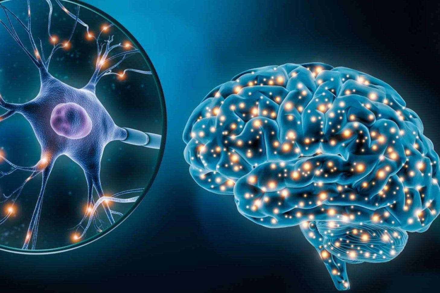 Revive tus neuronas y alcanza tu plenitud mental ¡Estimulación cognitiva para la tercera edad!