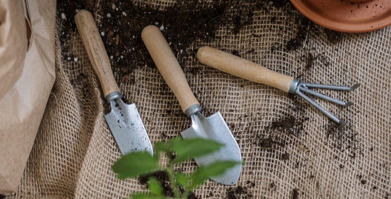 Las 10 mejores herramientas de jardinería para personas mayores